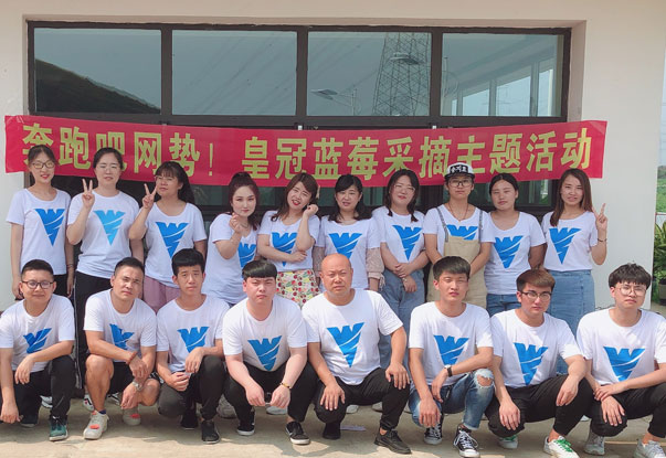 【奔跑吧網(wǎng)勢(shì)！】藍(lán)莓采摘主題團(tuán)建活動(dòng)