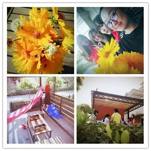 網(wǎng)勢(shì)科技6周歲生日快樂(lè)！