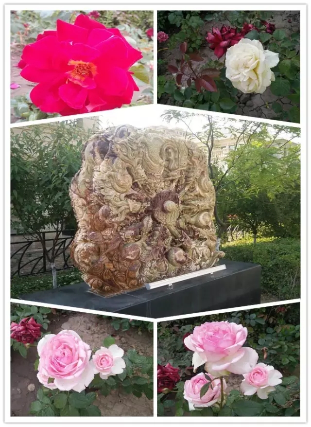 網(wǎng)勢(shì)科技6周歲生日快樂(lè)！